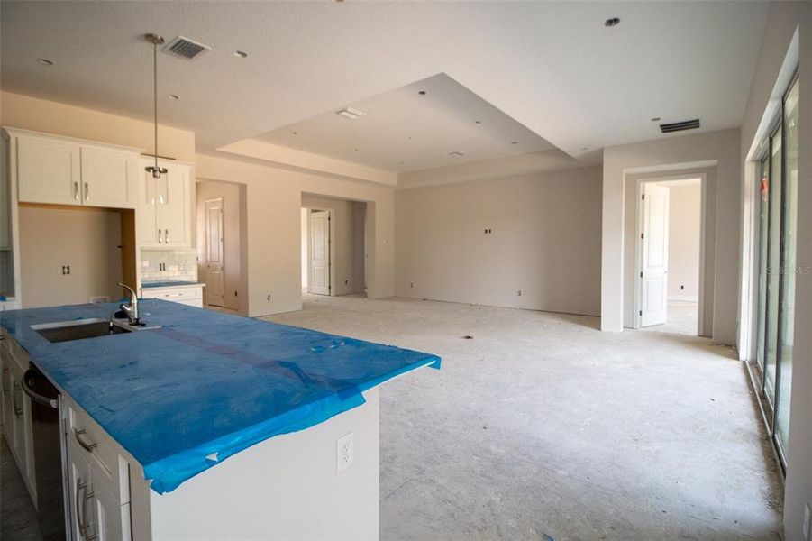 In-progress construction of a new home in Pine Ridge Estates, Beverly Hills, FL (Image 9).