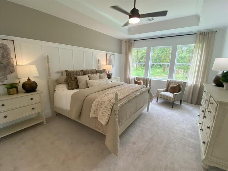 Primary Bedroom with Lots of Natural Lighting and Trey Ceiling - (*Photo not of actual home and used for illustration purposes only)