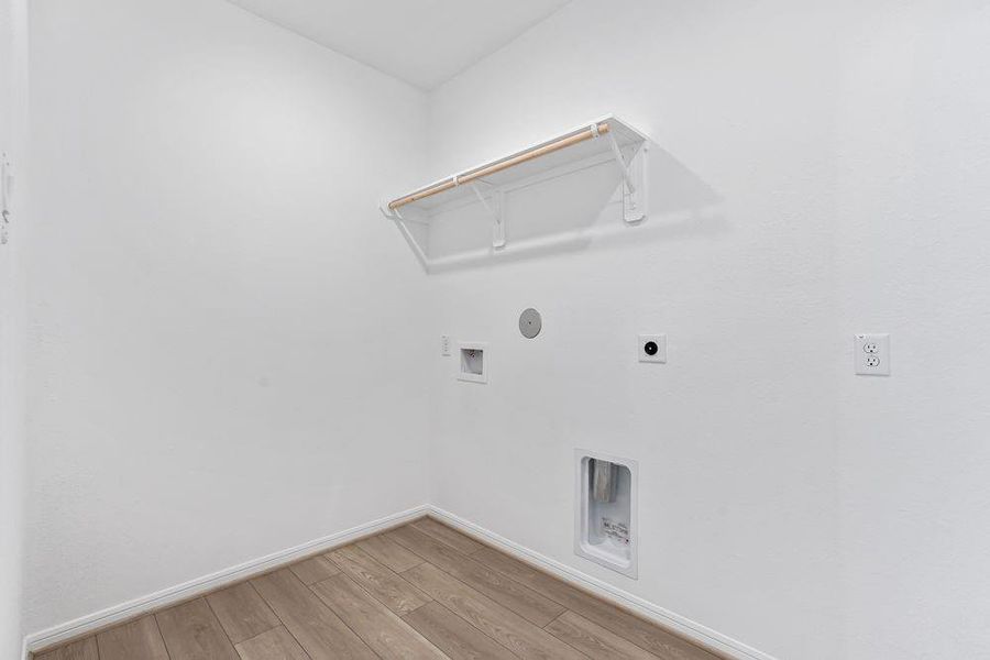 615 Yaupon Holly ~ Ready Now 615 Yaupon Holly ~ Ready Now