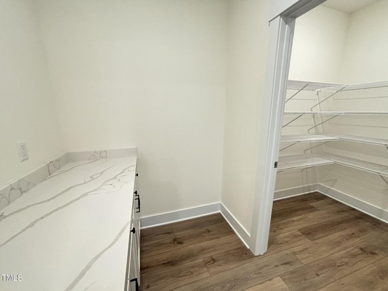 Butlers Pantry/Walk in Pantry