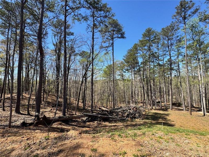 Natural landscape and outdoor views near in Douglasville (Image 59). Natural landscape and outdoor views near in Douglasville (Image 59).
