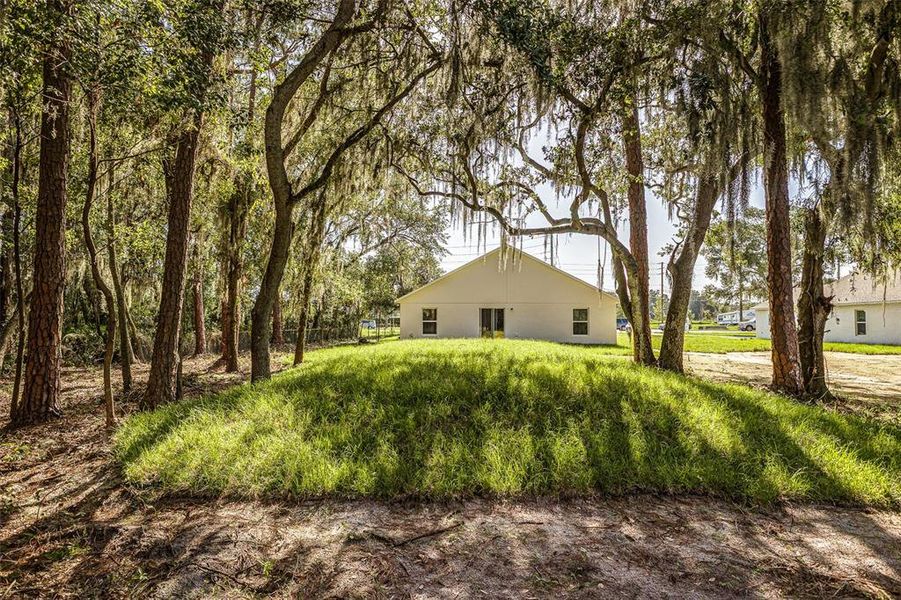 Natural landscape and outdoor views near  in Winter Haven (Image 21).
