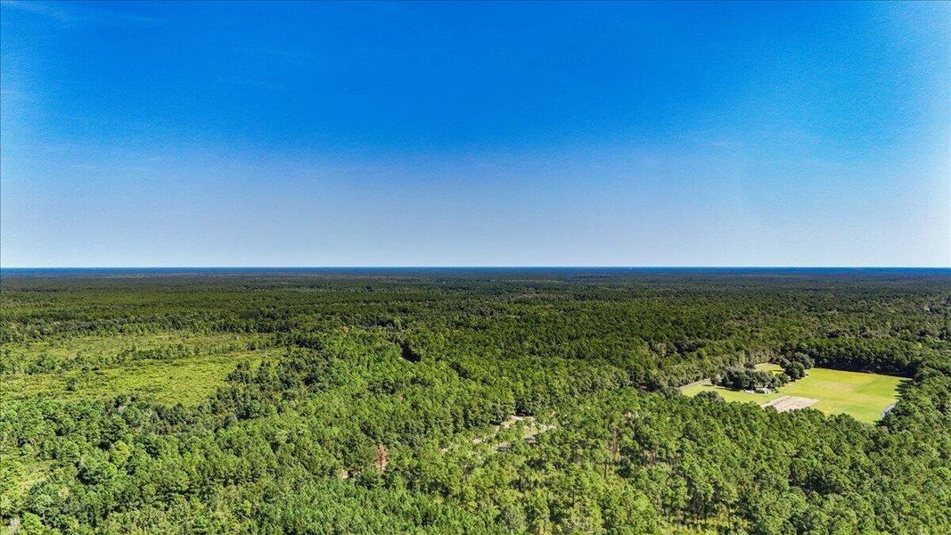 Natural landscape and outdoor views near  in Cordesville (Image 40).