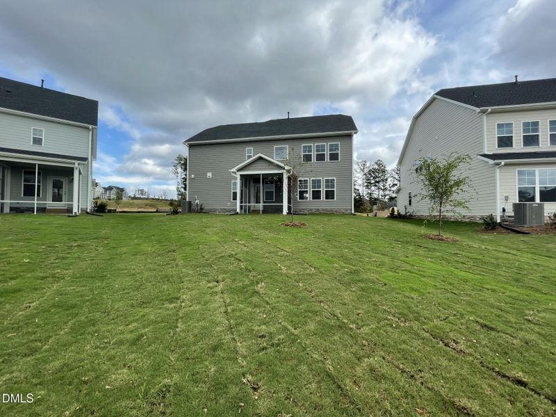 SUN_Stoneriver_Pic_Dalton_Back_1of1 SUN_Stoneriver_Pic_Dalton_Back_1of1