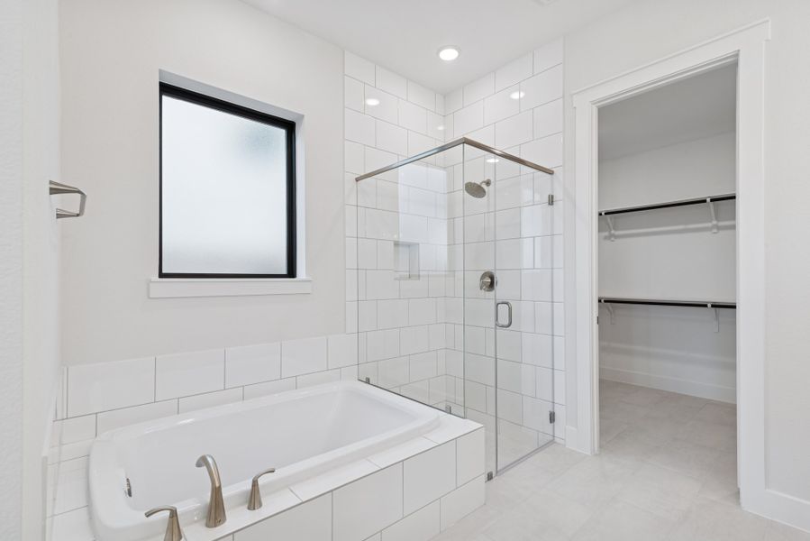 Owner's Bath