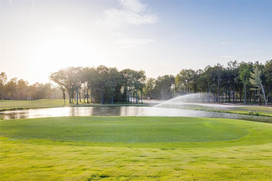 Natural landscape and outdoor views near The Highlands: Richmond Collections in Porter (Image 19).