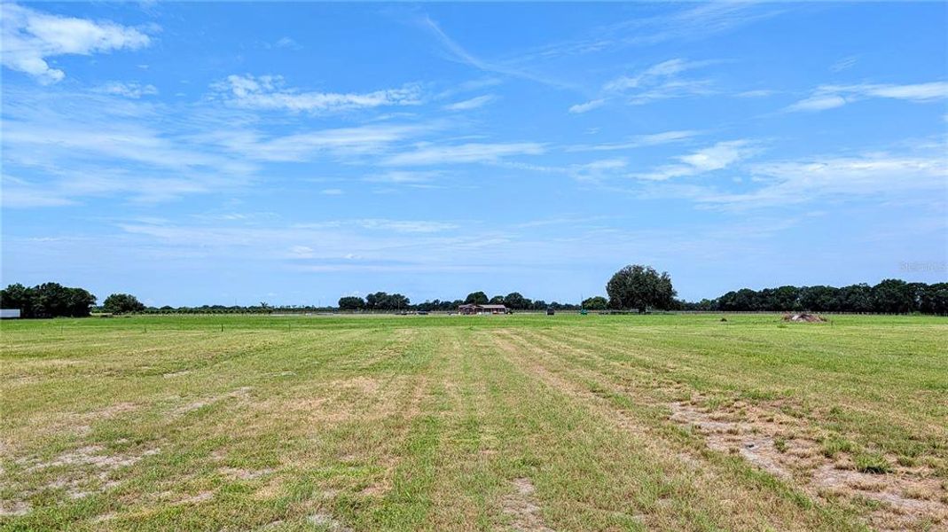 Natural landscape and outdoor views near  in Wauchula (Image 38).