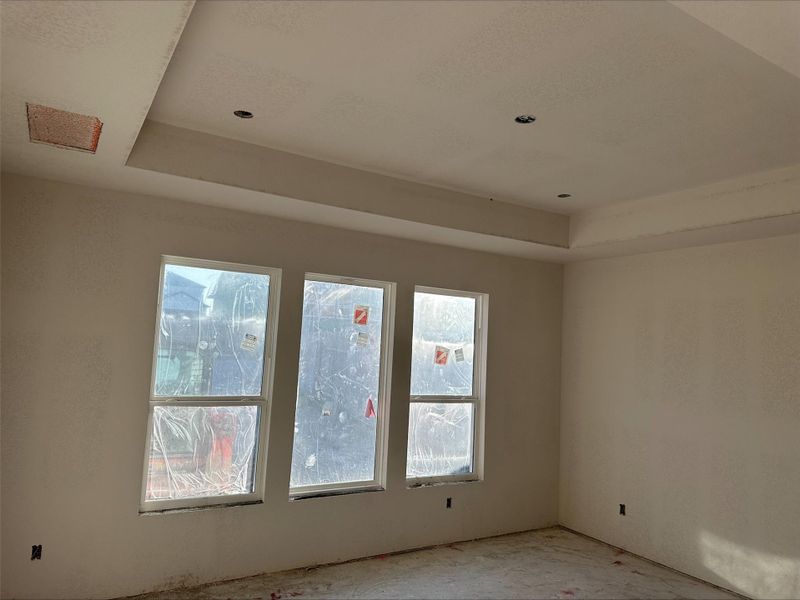 209 Wingstem Way ~ Under construction