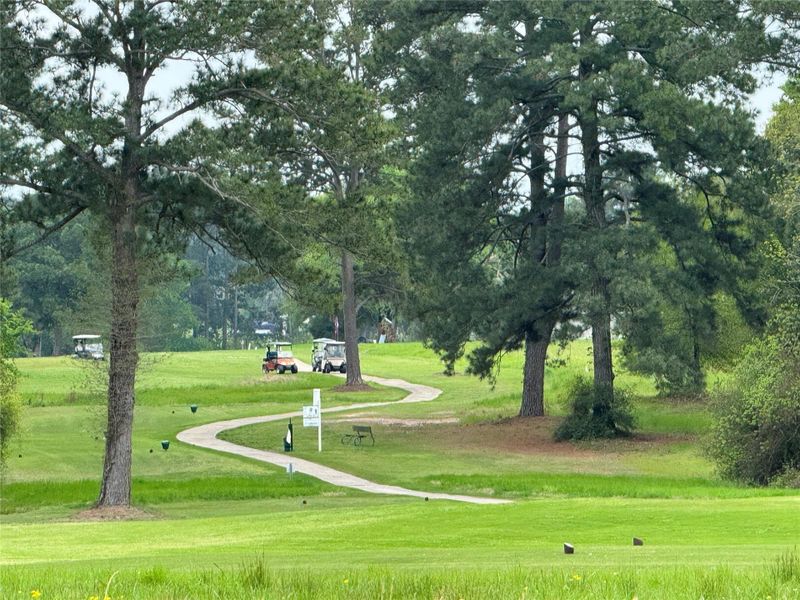 Natural landscape and outdoor views near  in Trinity (Image 21).