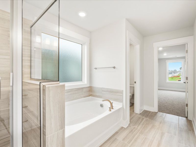 Furnished interior view inside a new home in Cedar Shoals - Signature Collection, Piedmont (Image 9). Furnished interior view inside a new home in Cedar Shoals - Signature Collection, Piedmont (Image 9).