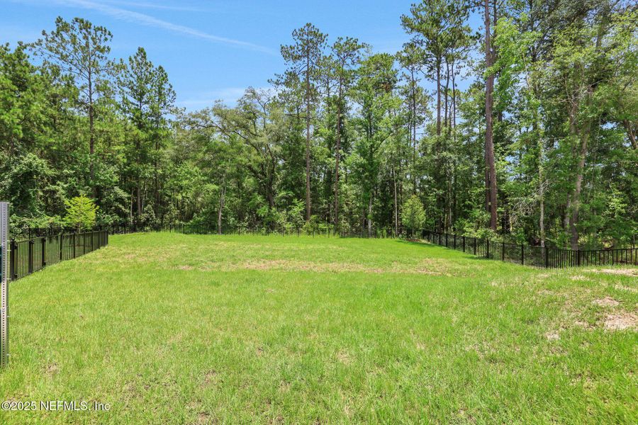 Natural landscape and outdoor views near  in Middleburg (Image 83).