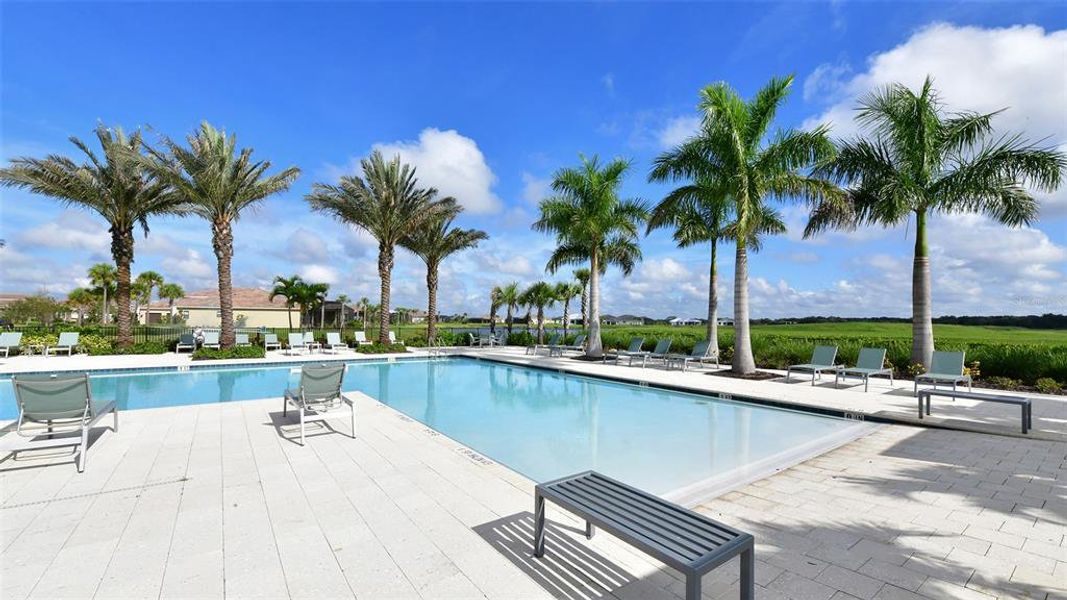 Community amenities in , Sarasota (Image 76).