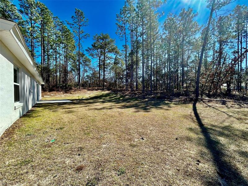 Exterior details and patio area of a home in , Citrus Springs (Image 2). Exterior details and patio area of a home in , Citrus Springs (Image 2).