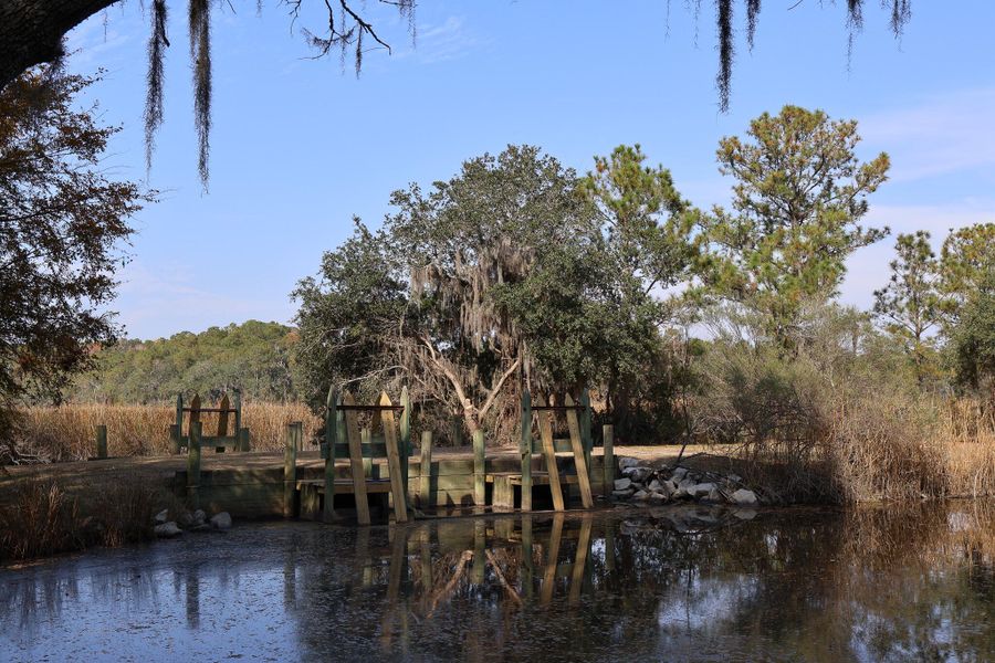 Natural landscape and outdoor views near Discover Series in Charleston (Image 15).