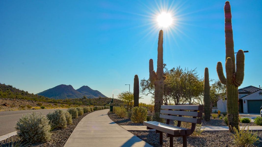 Community amenities associated with the Amherst by D.R. Horton in Aloravita, Peoria (Image 13).