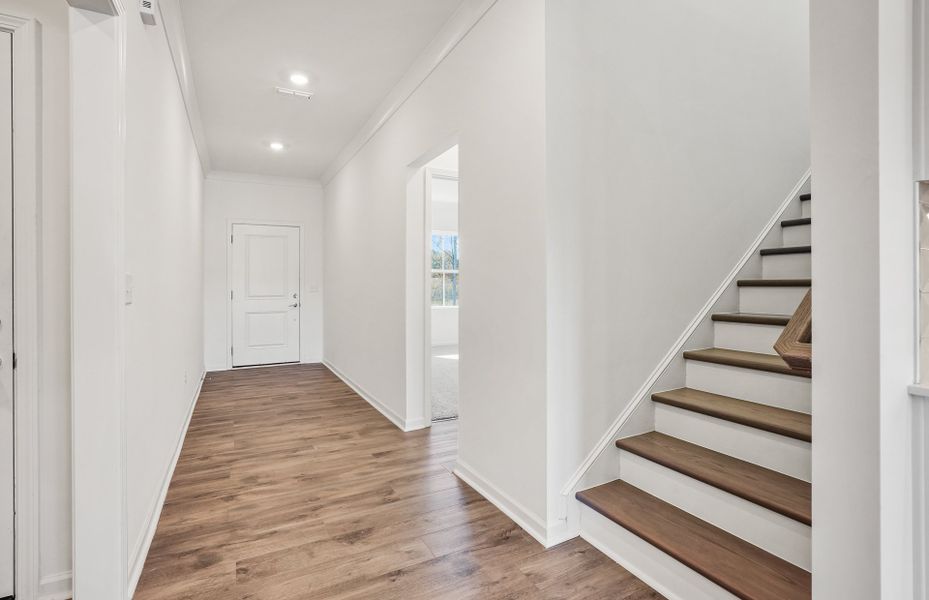 Spacious, unfurnished interior of a new home in Michaux Gardens, Belmont (Image 30). Spacious, unfurnished interior of a new home in Michaux Gardens, Belmont (Image 30).