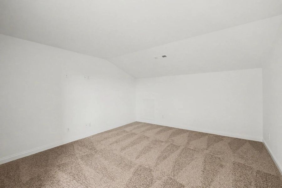 Shannon C Media Room