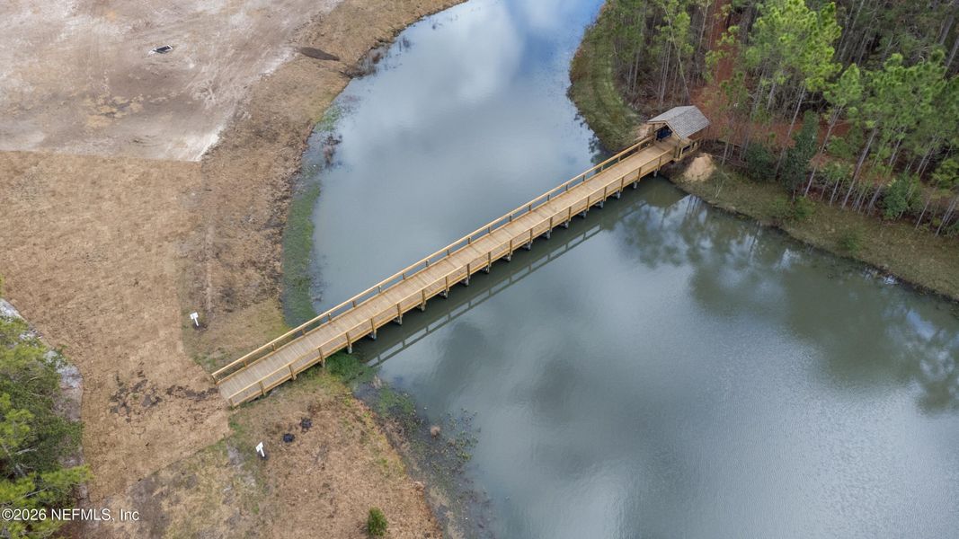 Natural landscape and outdoor views near Evergreen Island at Silverleaf - Executive in St. Augustine (Image 37).