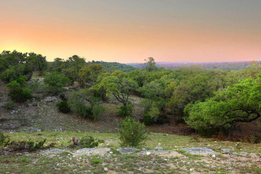 Natural landscape and outdoor views near Caliterra - 80' in Dripping Springs (Image 3).