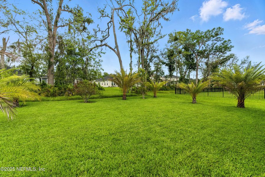 Natural landscape and outdoor views near  in St. Johns (Image 56).