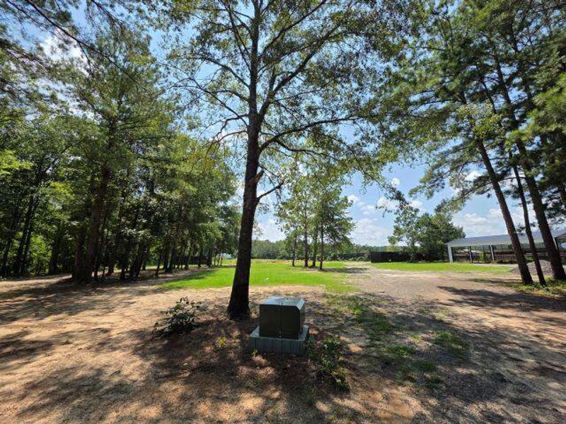 Natural landscape and outdoor views near  in Santee (Image 26).