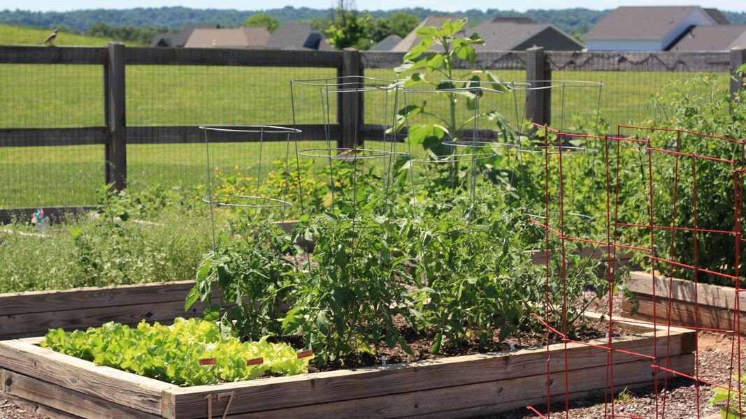 Image 11 of a home in Harvest Point.