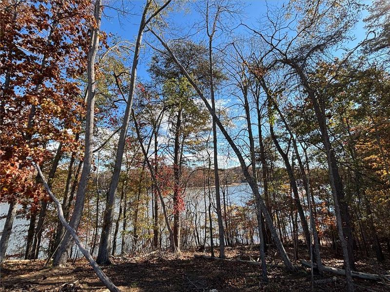 Natural landscape and outdoor views near East Harbor II at Chestatee in Dawsonville (Image 24). Natural landscape and outdoor views near East Harbor II at Chestatee in Dawsonville (Image 24).