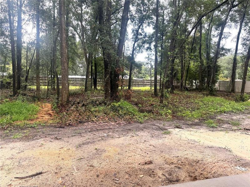 Natural landscape and outdoor views near  in High Springs (Image 18).