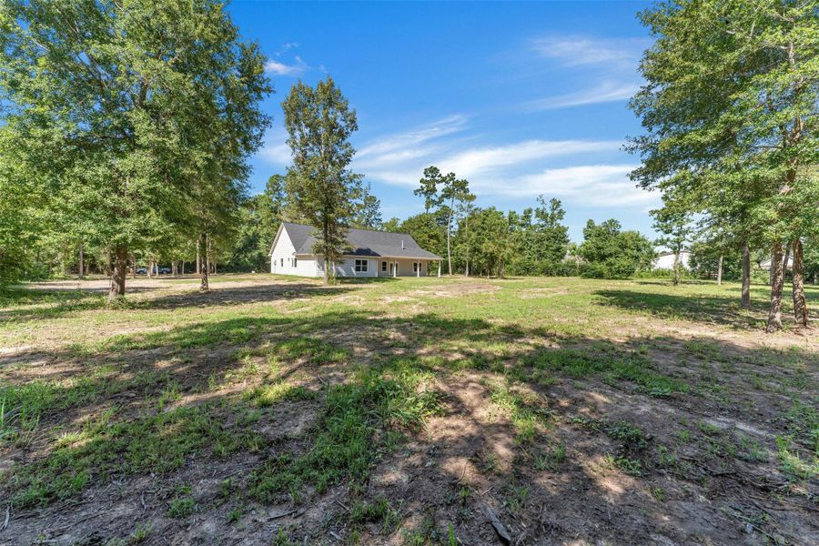 Natural landscape and outdoor views near  in New Waverly (Image 41).