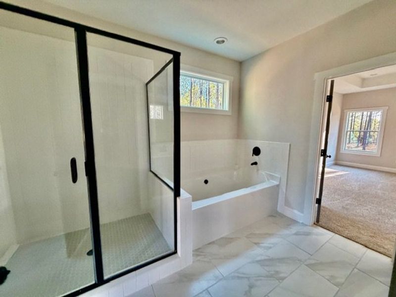 Furnished interior view inside a new home in Dove Creek, LaGrange (Image 13).