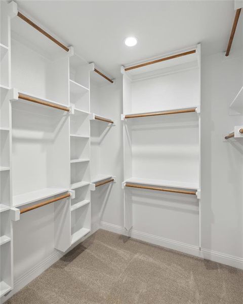 Spacious closet featuring light carpet