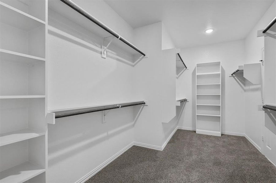 Spacious closet with dark carpet