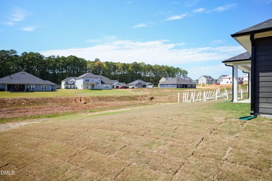 Back Yard 01 Back Yard 01