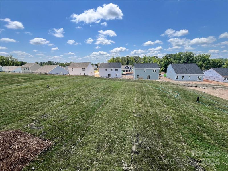 Spacious Back yard