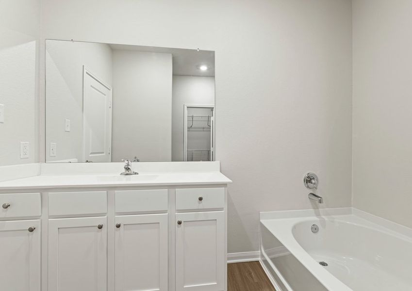 Spacious vanity and tub in the master bathroom Spacious vanity and tub in the master bathroom
