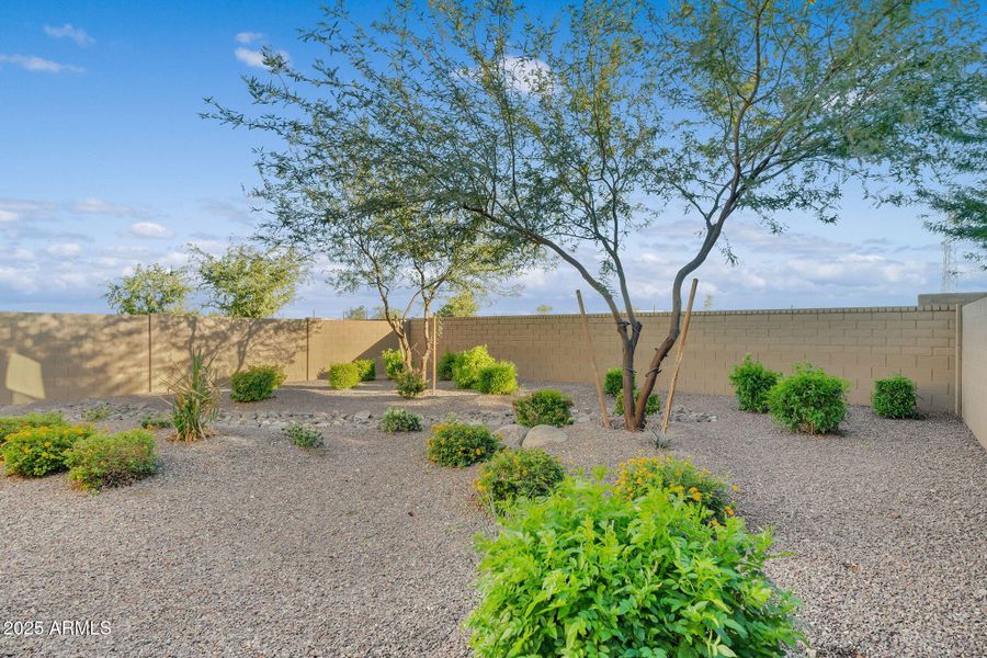 33-web-or-mls-Barrel Race-32 33-web-or-mls-Barrel Race-32