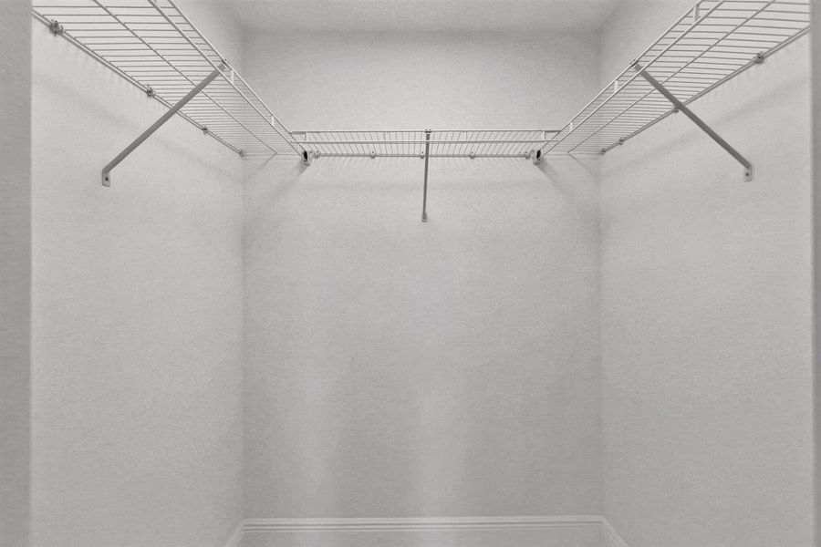 33-web-or-mls-5P1A6205