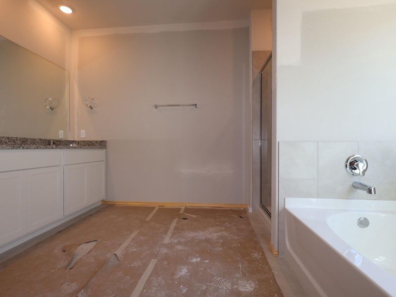 Full bathroom with vanity, a garden tub, and a stall shower