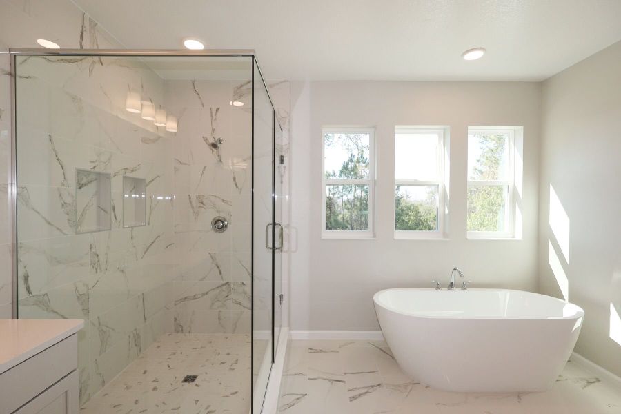 Owner's Bathroom