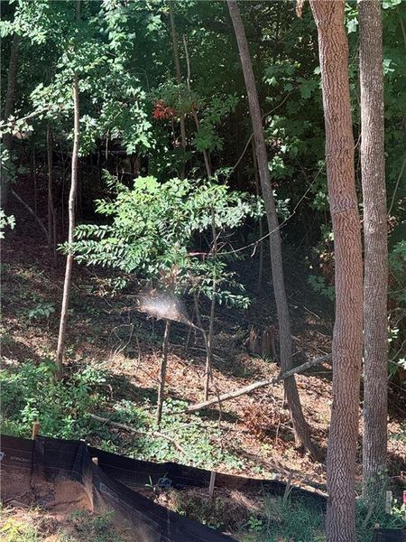 Natural landscape and outdoor views near in Flowery Branch (Image 39). Natural landscape and outdoor views near in Flowery Branch (Image 39).