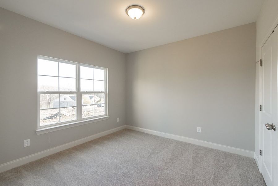 Courtland I GY Courtland I GY