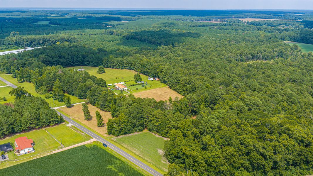 Natural landscape and outdoor views near  in Holly Hill (Image 67).