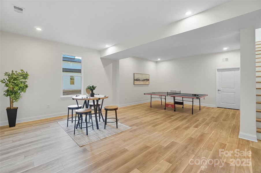 Open Concept Basement