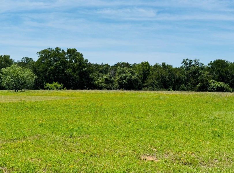 Natural landscape and outdoor views near  in Lexington (Image 35).