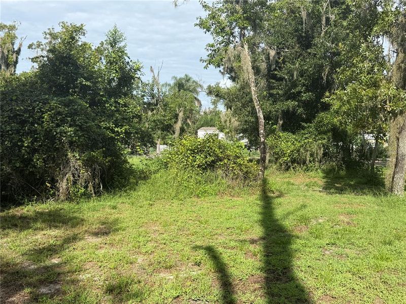 Natural landscape and outdoor views near  in Parrish (Image 27).