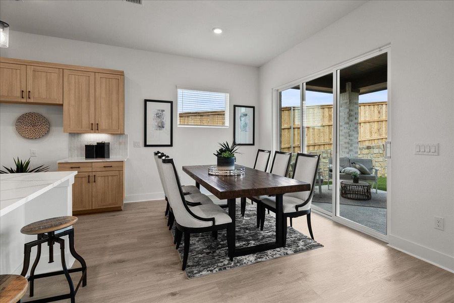 REPRESENTATIVE PHOTO