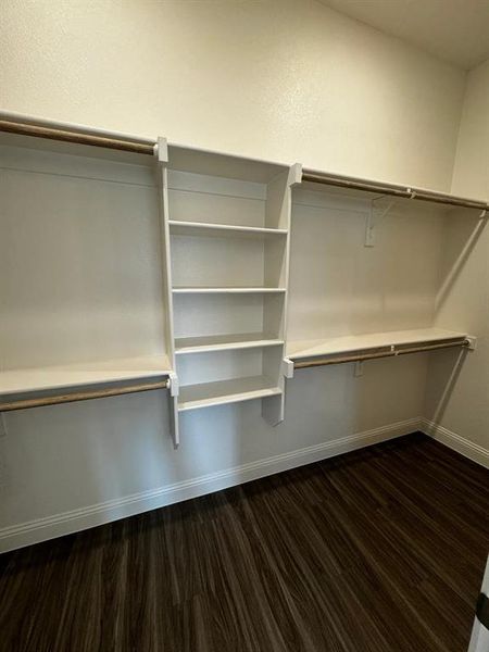 Spacious closet with dark hardwood / wood-style flooring