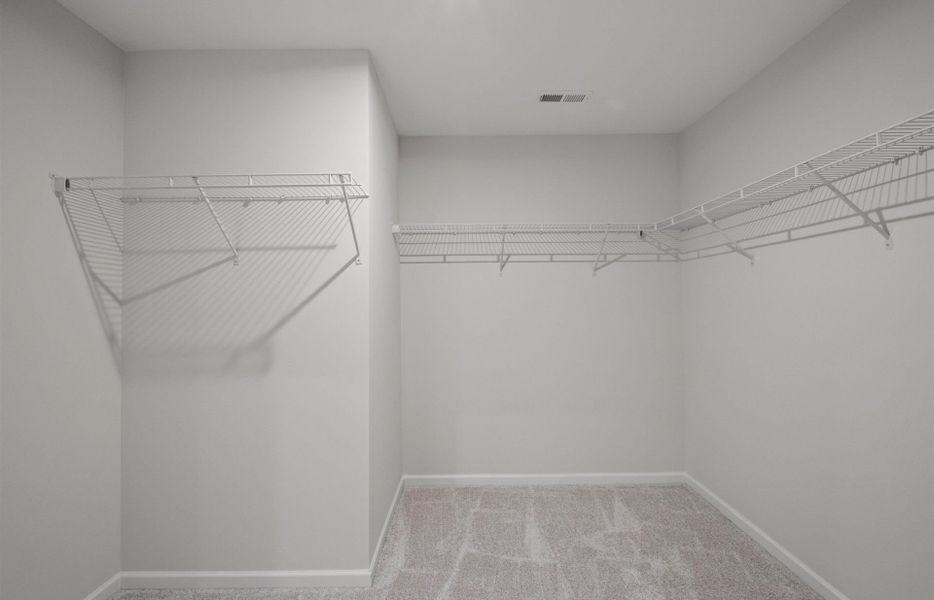 Large Owner's Walk-In Close Large Owner's Walk-In Close