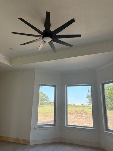 Detailed view of crown molding, a ceiling fan, and wood finished floors