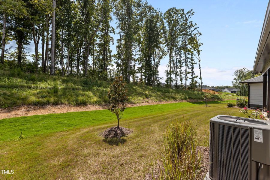 42-web-or-mls-2N6A4980